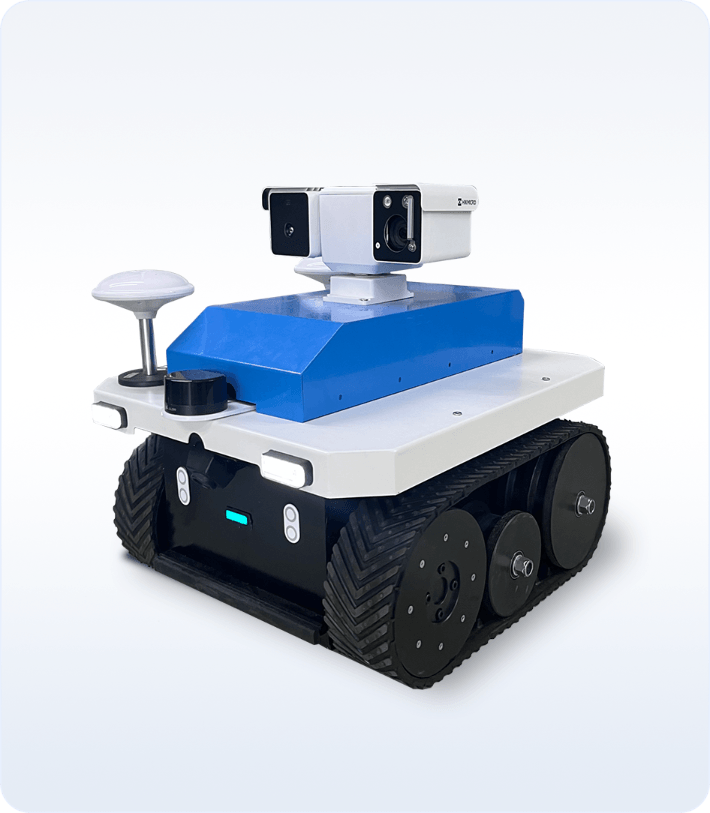 Track inspection robot
